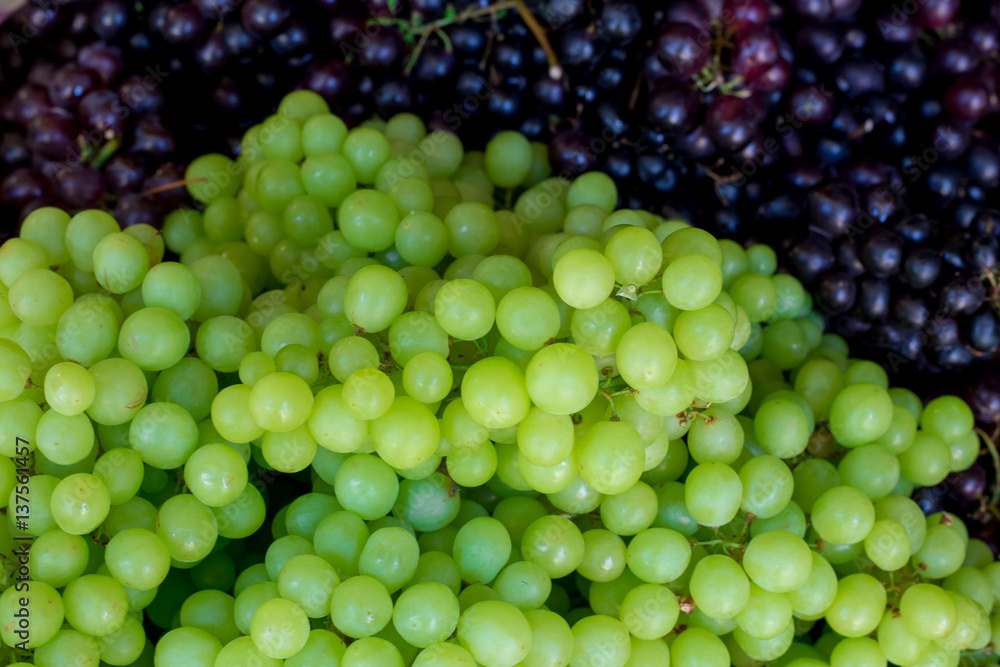 Fresh grapes in market,Soft focus Fresh grapes in market,Soft focus
