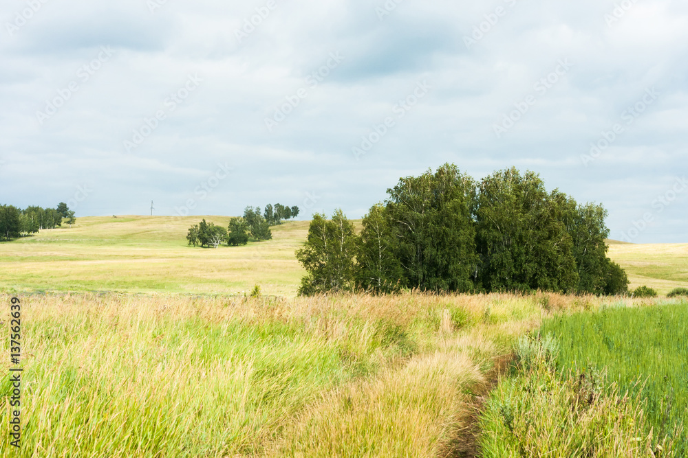 Landscape with rare trees in the hills, road leading into the fields, dry grass in the foreground on a cloudy day. Landscape with rare trees in the hills, road leading into the fields, dry grass in the foreground on a cloudy day.
