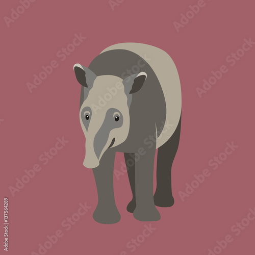tapir vector illustration style Flat