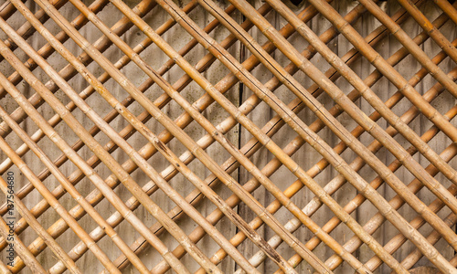 bamboo closeup