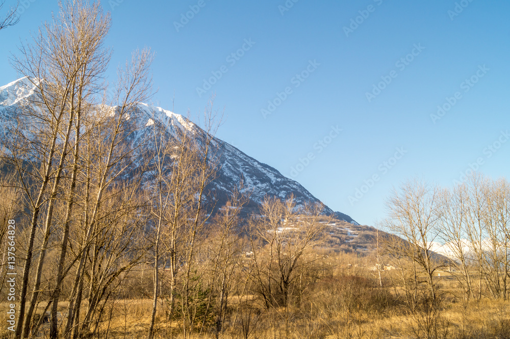 mountain panorama, walk in the forest with trees mountain panorama, walk in the forest with trees