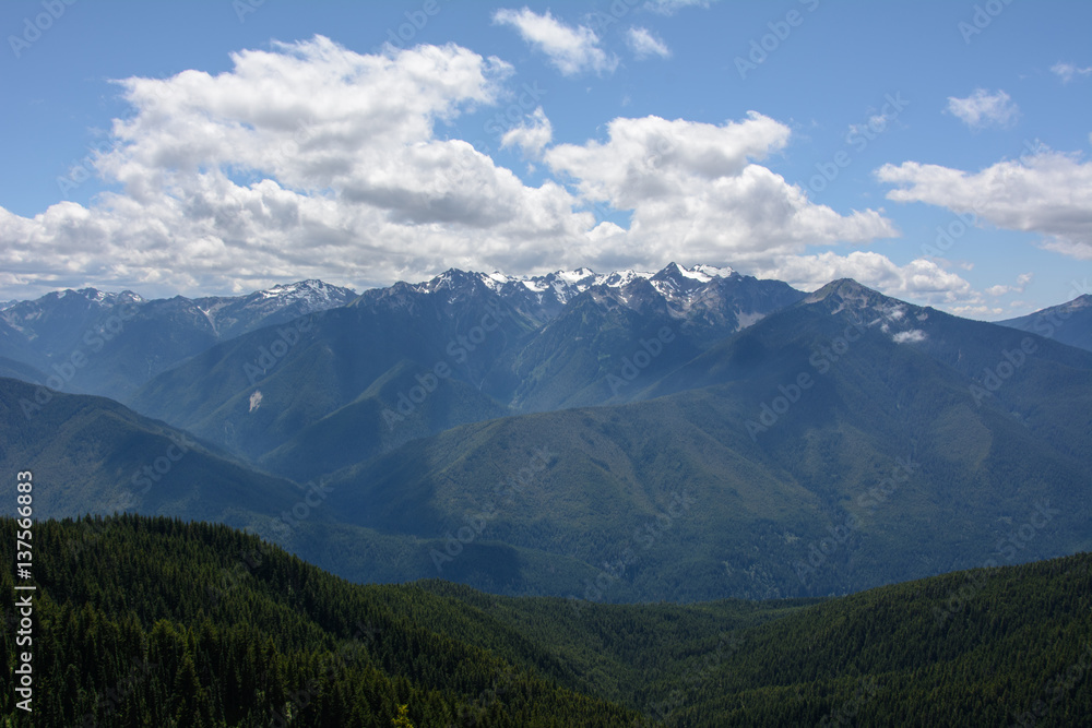 Landscape in the mountains, Olympic National Park, Washington, USA