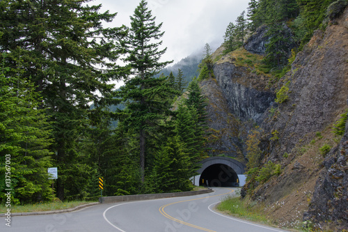 Tunnel in the Olympic national park in Washington State