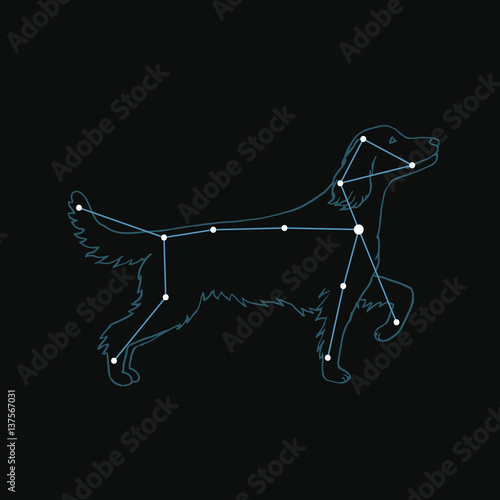 Vector illustration of Canis Major. Dog constellation hand-drawn background. Astrology picture on dark isolated background.