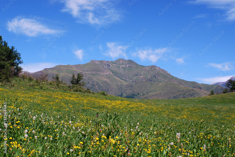 Spanish Pyrenees landscape