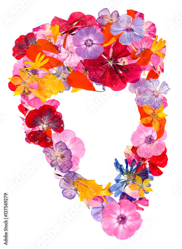 Fototapeta Naklejka Na Ścianę i Meble -  motley multicolored applique clearing of dried pressed flowers