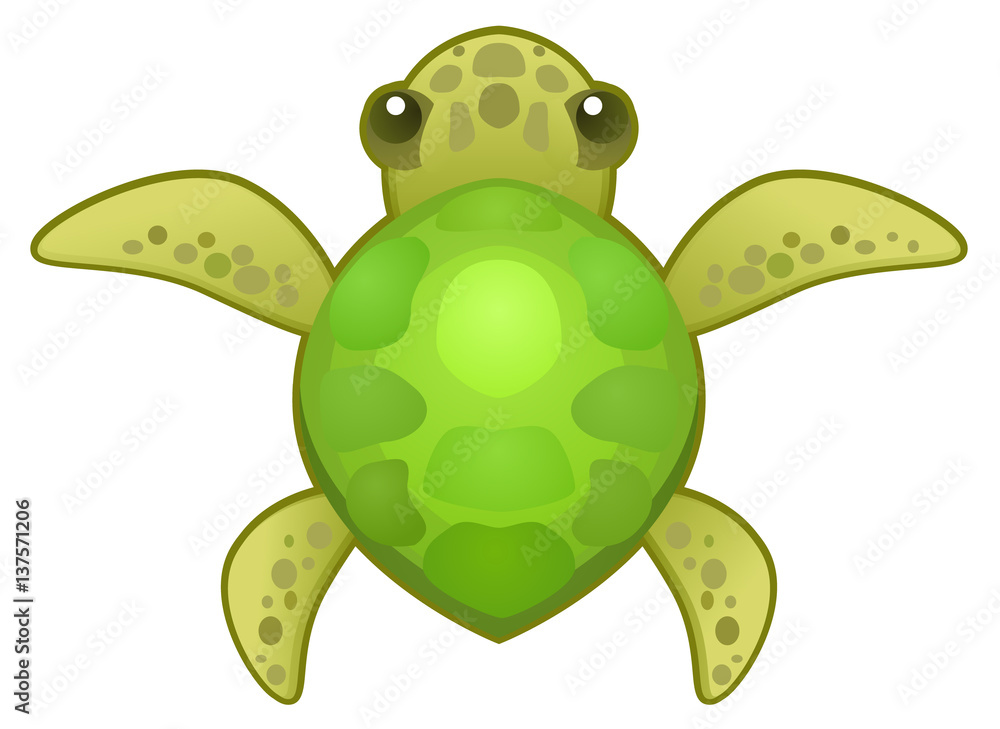 Fototapeta premium Cartoon small turtle animal, vector illustration, horizontal, isolated 