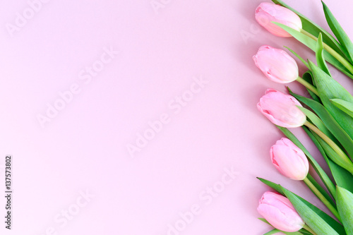 Fototapeta Naklejka Na Ścianę i Meble -  Pink tulips on the pink background. Flat lay, top view.  Valentines background.