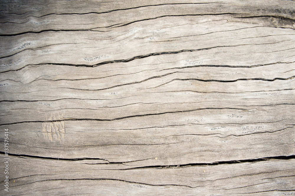 Texture wood oak older style, background wooden old dirty Texture wood oak older style, background wooden old dirty