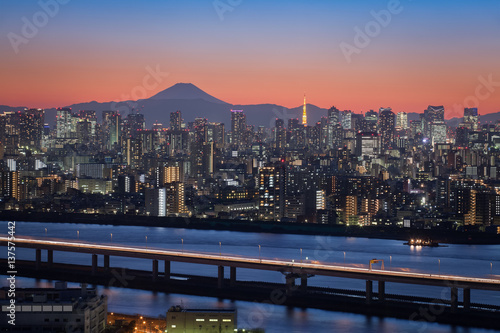 Tokyo city view with Mount Fuji and Tokyo tower landmark