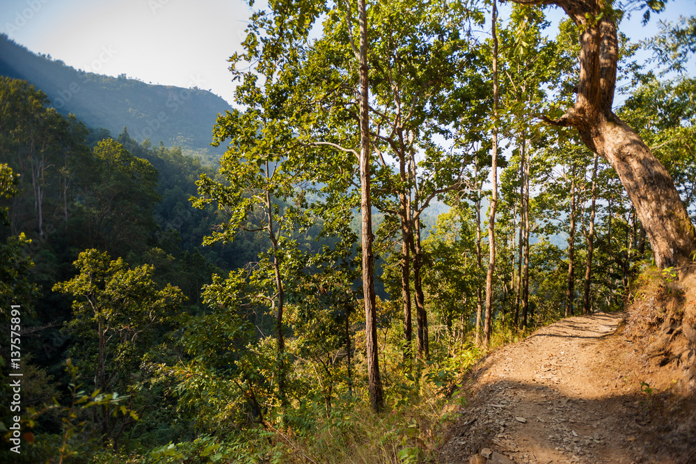 Path to Siddha Cave