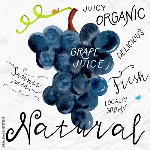 watercolor grapes