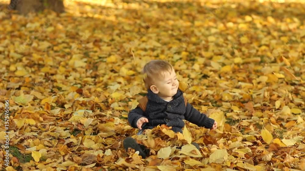 Little boy in autumn leaves at park Little boy in autumn leaves at park