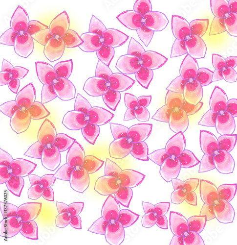 Raster pattern with solo pink hydrangea flowers on white sunny background. Spring party backdrop.