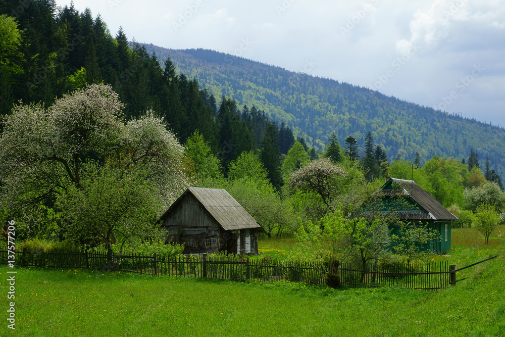 Mountain landscape, a house in the mountains, spring, garden in blossom.