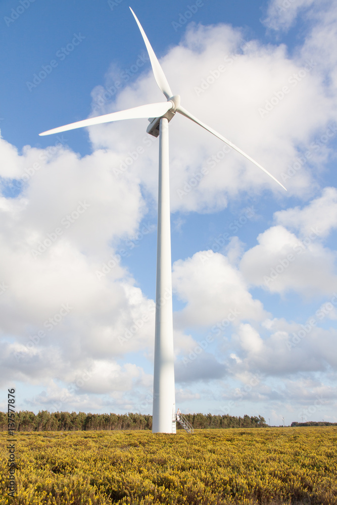 Wind generator in the field on a background beautiful clouds Wind generator in the field on a background beautiful clouds