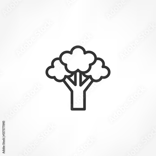 Broccoli icon
