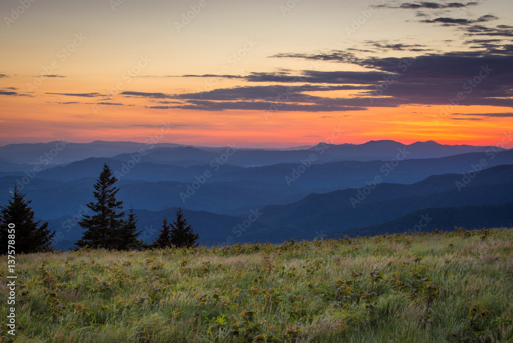 The lush summer landscape at Roan Mountain as I hike along the Appalachian trail at sunrise on the border of North Carolina and Tennessee. 