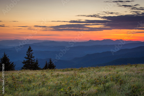 The lush summer landscape at Roan Mountain as I hike along the Appalachian trail at sunrise on the border of North Carolina and Tennessee.  © skiserge1