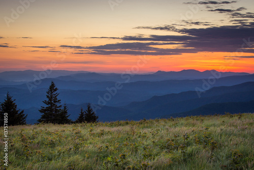 The lush summer landscape at Roan Mountain as I hike along the Appalachian trail at sunrise on the border of North Carolina and Tennessee.  photo