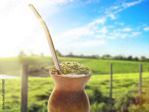 Chimarrão, traditional mate hot tea. Drink of South of the Brazil. Also knowed like mate. On sunny farm landscape bokeh background photo