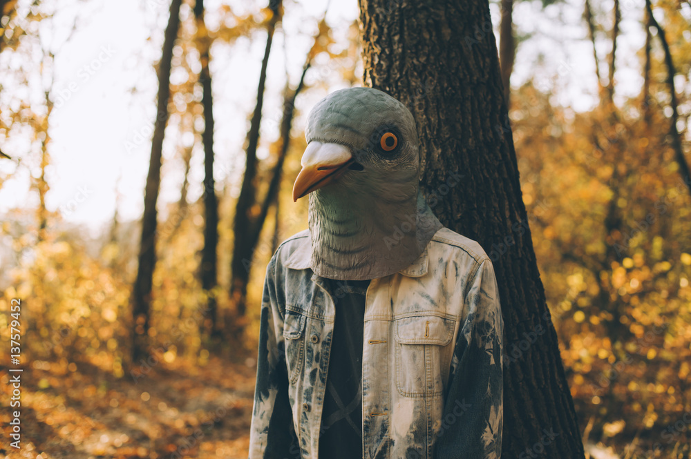 Weird man in a creepy rubber pigeon bird mask in the autumn sunset forest Weird man in a creepy rubber pigeon bird mask in the autumn sunset forest