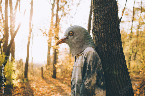 Weird man in a creepy rubber pigeon bird mask in the autumn sunset forest photo