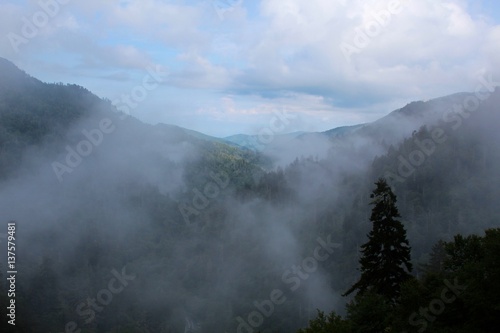 The dense fog in the smoky mountains.