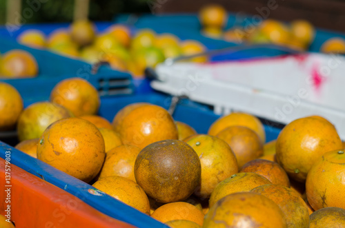 Ripe shogun orange in basket. tangerine fruit