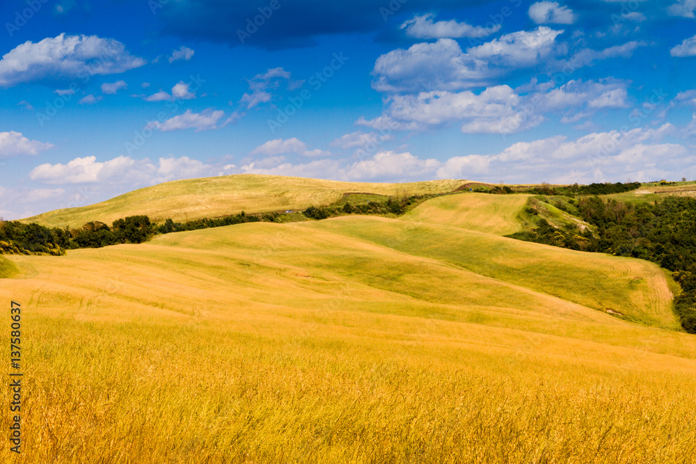 Fields in Tuscany, Italy