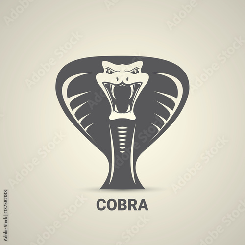 vector dangerous cobra snake icon