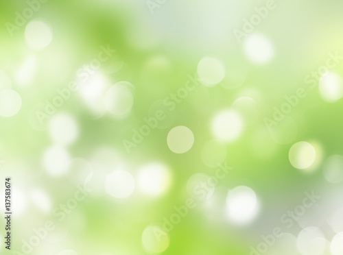 Spring lsoft light green blurred background.