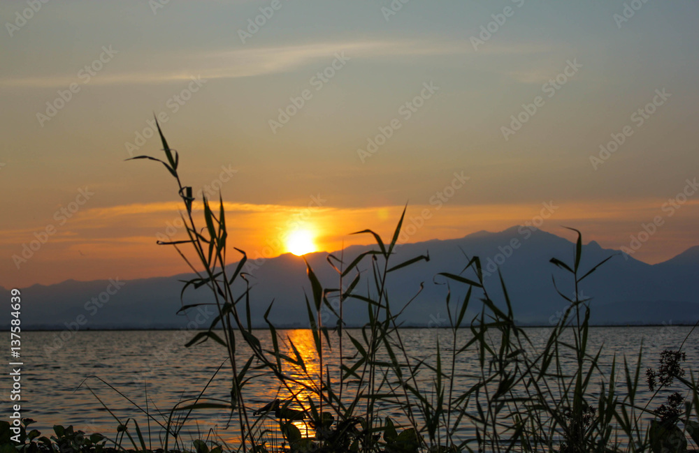 Fototapeta premium Sunset