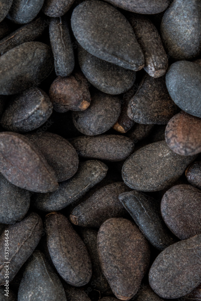 Macro of Black Sesame Seeds Macro of Black Sesame Seeds