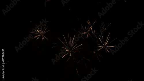 Wallpaper Mural Fireworks in the form of snowflakes Torontodigital.ca