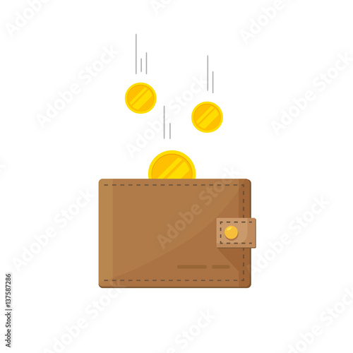 Cash money earnings on wallet icon vector, salary cashback income, golden coins money flying vector illustration, idea of fund savings, financial success, getting wealth,  isolated on white photo