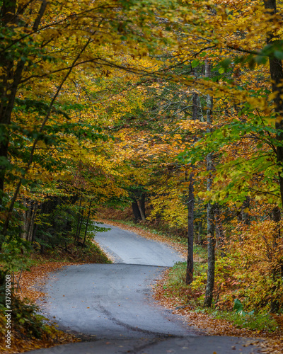 Road Winding Through the Autumn Color