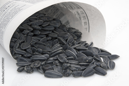 Obraz na plátně a pile of sunflower seeds isolated