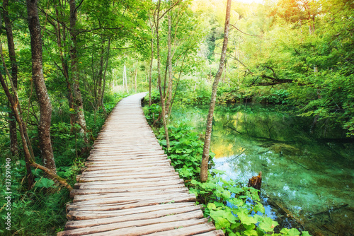 Plitvice lakes park in Croatia. Europe. Instagram toning effect