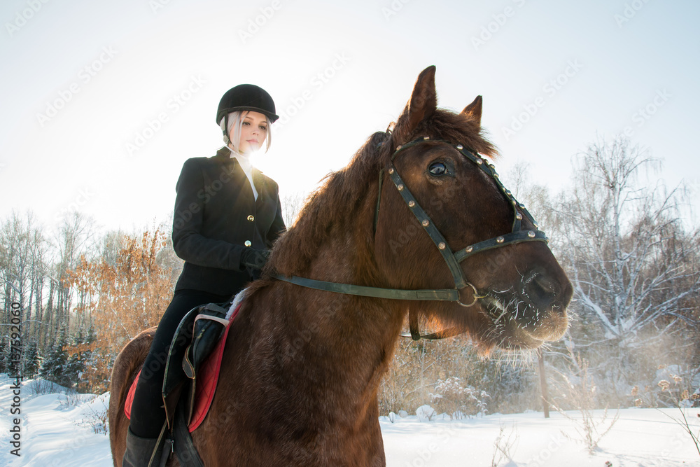 Young beautiful girl jockey riding a horse in winter forest Young beautiful girl jockey riding a horse in winter forest
