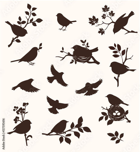 Vector set of spring bird and twig silhouettes  flying birds and on the nest. 