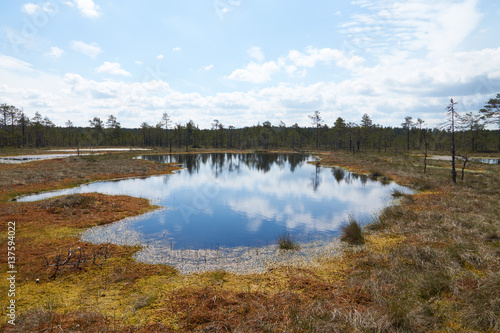 The picturesque view on big lake of the Viru Raba bog in Estonia in summer