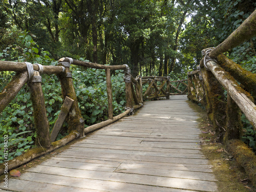 Old wooden path way in forest of thailand