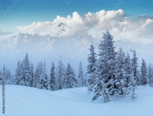 Mysterious winter landscape majestic mountains © standret
