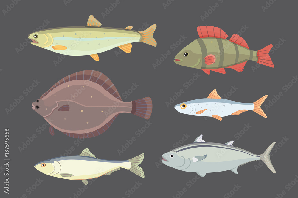 Isolated river fish. Set of freshwater sea cartoon fishes. Fauna ocean vector illustration Isolated river fish. Set of freshwater sea cartoon fishes. Fauna ocean vector illustration