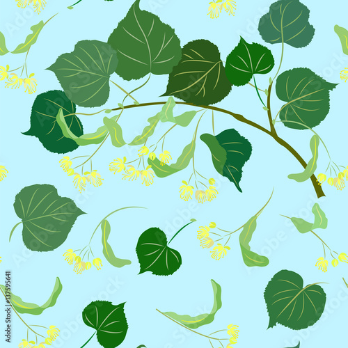 Seamless pattern with a branch of a blossoming linden tree, with leaves and linden flowers on a blue background