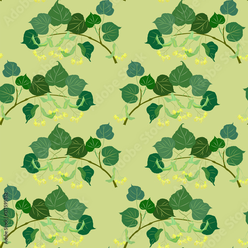 blossoming linden branch