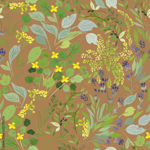 Seamless pattern with different elements of meadow plants on a brown background.