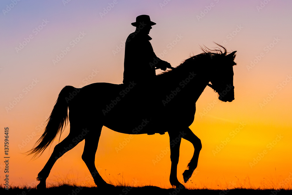 Naklejka premium Horseback riding in the sunset