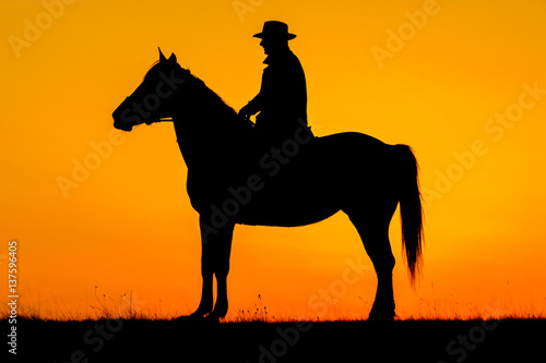 Rider man and his horse in the sunset